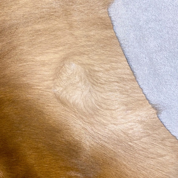 Hand Crafted Accents New 0 Real Calf Skin Leather Small Area Rug 32 X 26 Poshmark